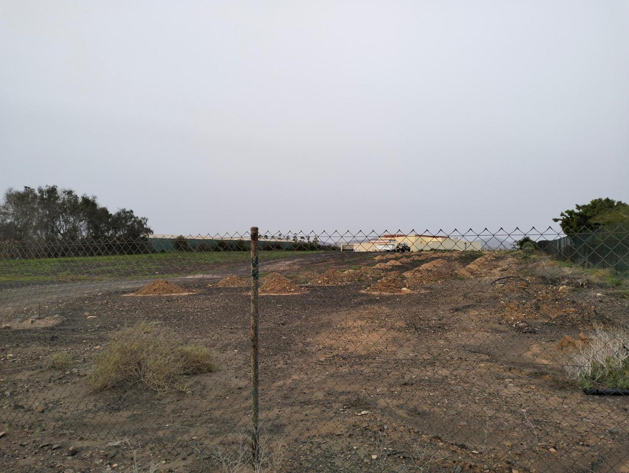 Teguitar Casa Rural Daisamar מראה חיצוני תמונה